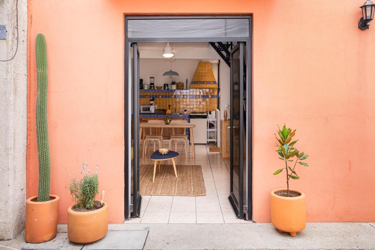 Apartament Siento Oaxaca Zewnętrze zdjęcie