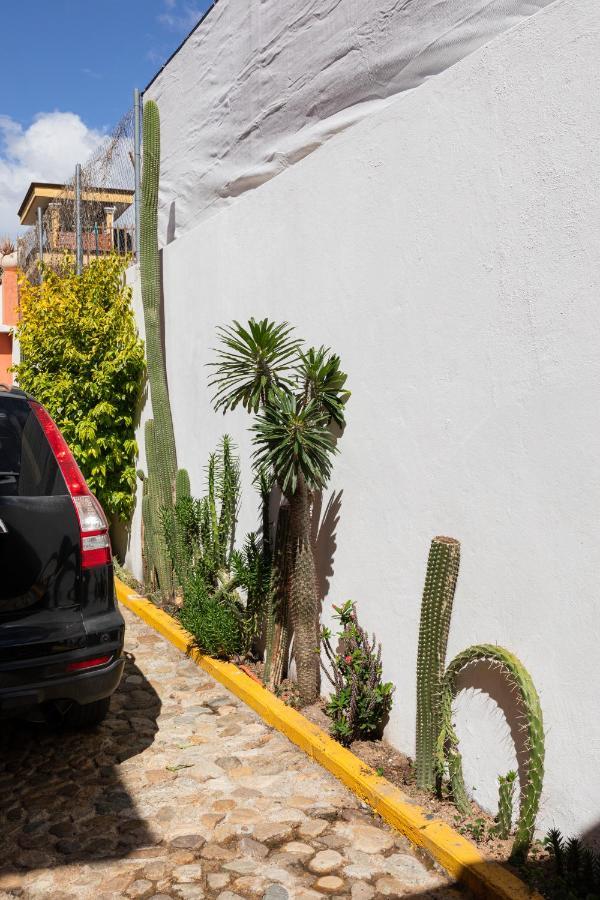 Apartament Siento Oaxaca Zewnętrze zdjęcie