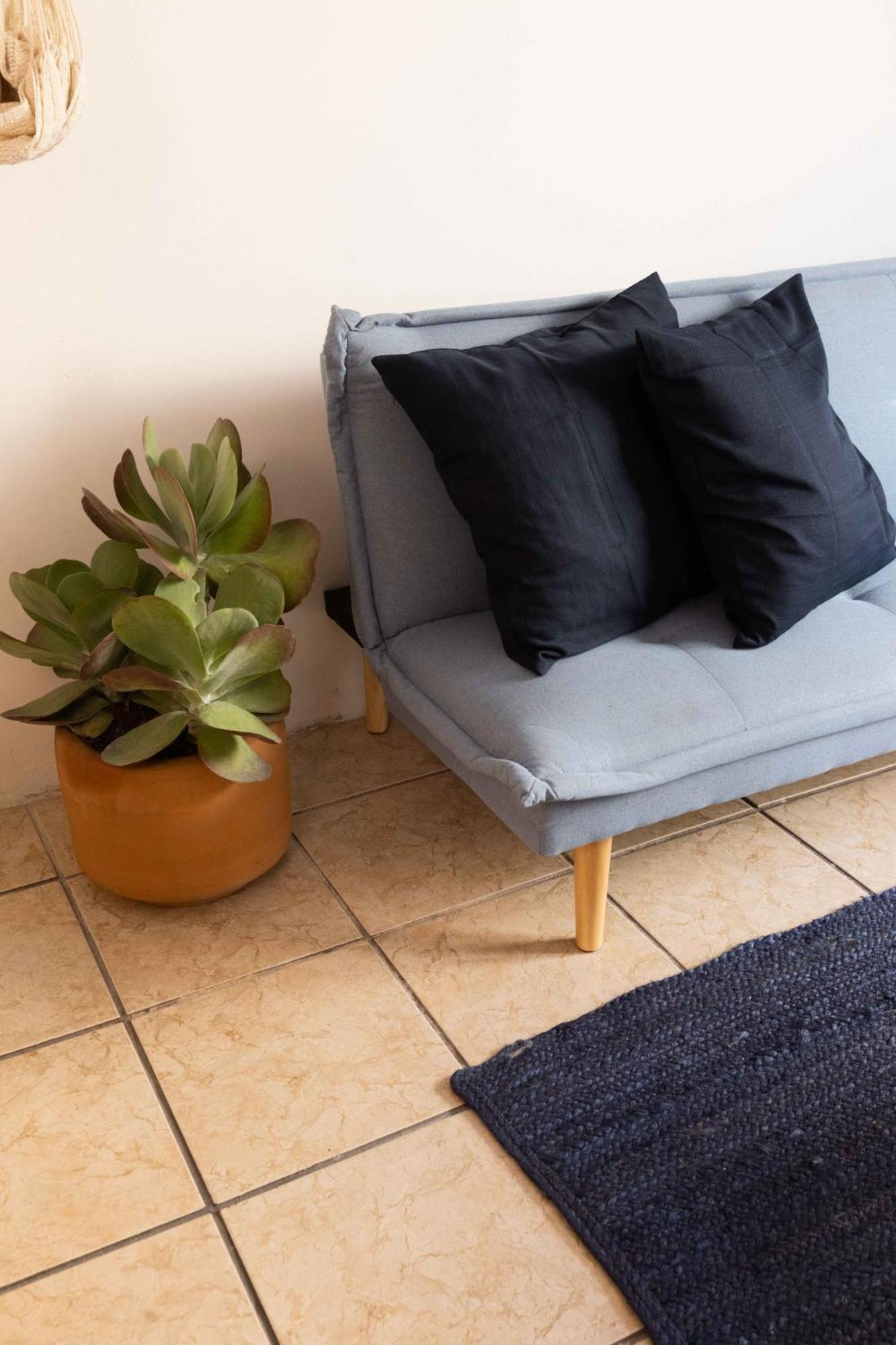 Apartament Siento Oaxaca Zewnętrze zdjęcie